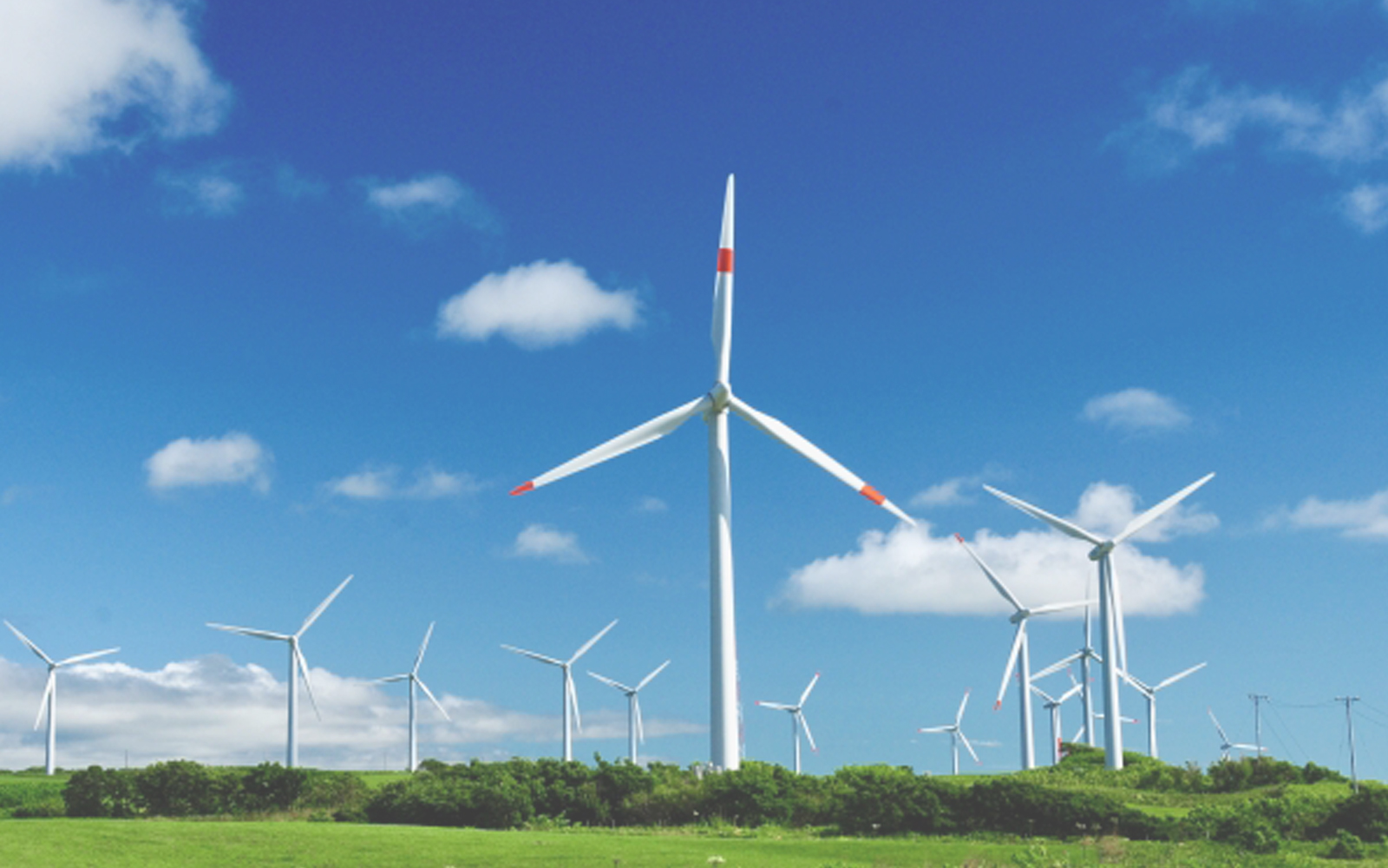 カーボンニュートラルファンド