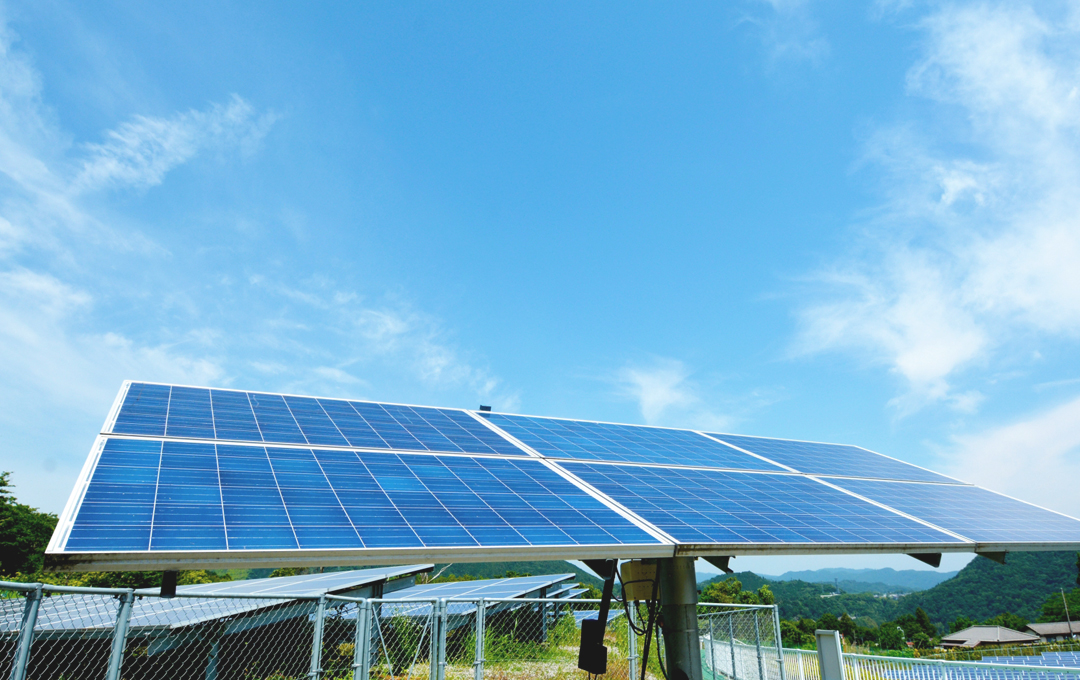 プロジェクト画像